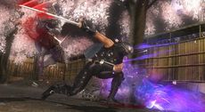 Ninja Gaiden Sigma 2 Screenshot