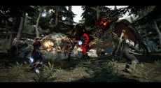 Dragon's Dogma Screenshot