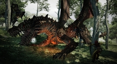 Dragon's Dogma Screenshot