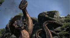 Dragon's Dogma Screenshot