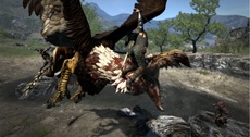 Dragon's Dogma Screenshot