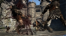 Dragon's Dogma Screenshot