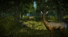 The Witcher 2: Assassins of Kings Enhanced Edition Screenshot