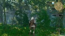 The Witcher 3: Wild Hunt Screenshot